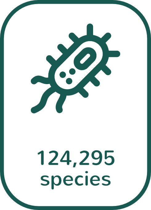 124,295 species